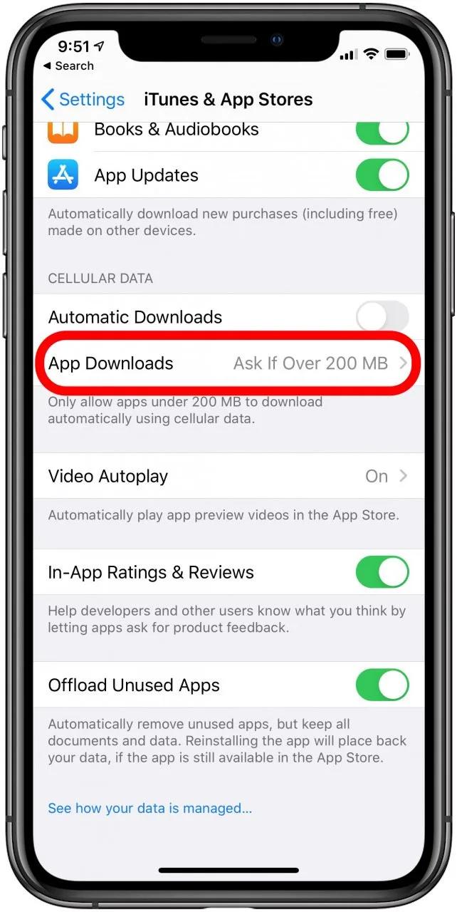 wi fi iphone descargas - Cómo activar las descargas en iPhone