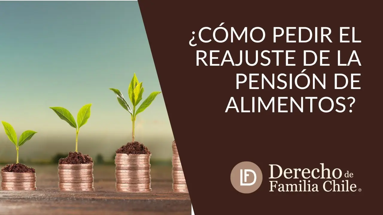 como solicitar reajuste de pension alimenticia por internet - Cómo pedir aumento de pension alimenticia por Internet