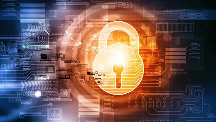 daño de informacion en internet - Cómo puede afectar el exceso de información en internet