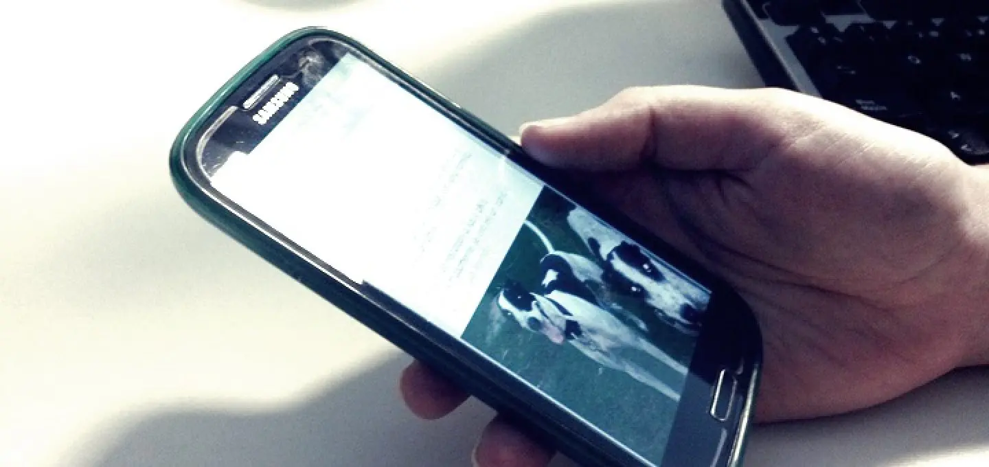 La Lista Blanca Telefónica en Argentina: Tu Derecho a la Paz y la Privacidad - Cómo salir del Registro No Llame lista blanca telefonia argentina - Cómo salir del Registro No Llame