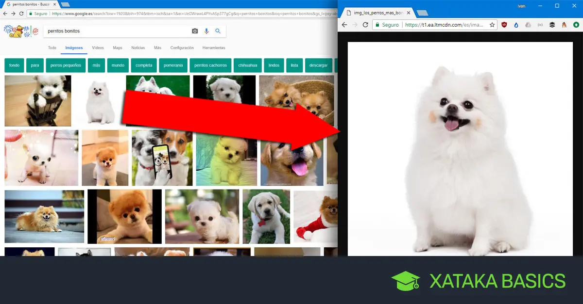 Cómo Guardar Imágenes de Internet - Cómo se guardan las imágenes de Google como guardar imagenes de internet - Cómo se guardan las imágenes de Google