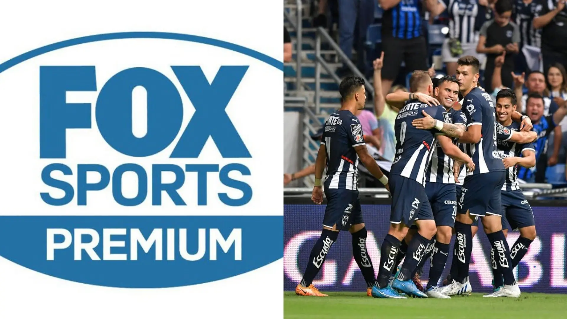 app de fox no hay internet - Cómo se llama la nueva plataforma de Fox