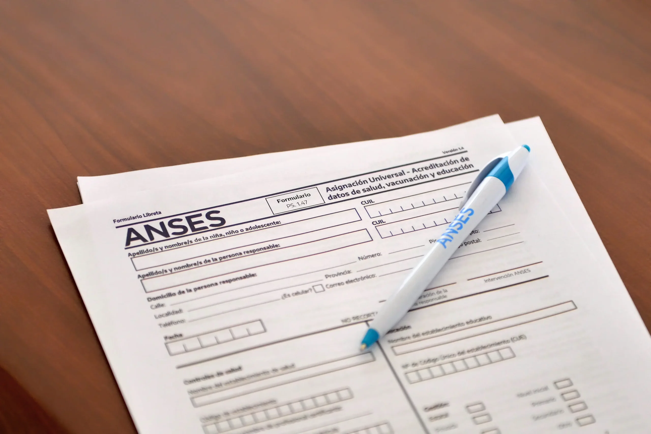 anses carga de libreta por internet - Cómo voy a saber si ya está cargado la libreta en ANSES
