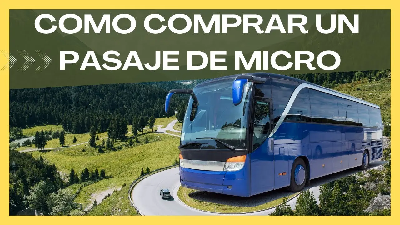 como comprar pasajes de micro por internet - Cuánto tiempo antes puedo comprar un pasaje de micro