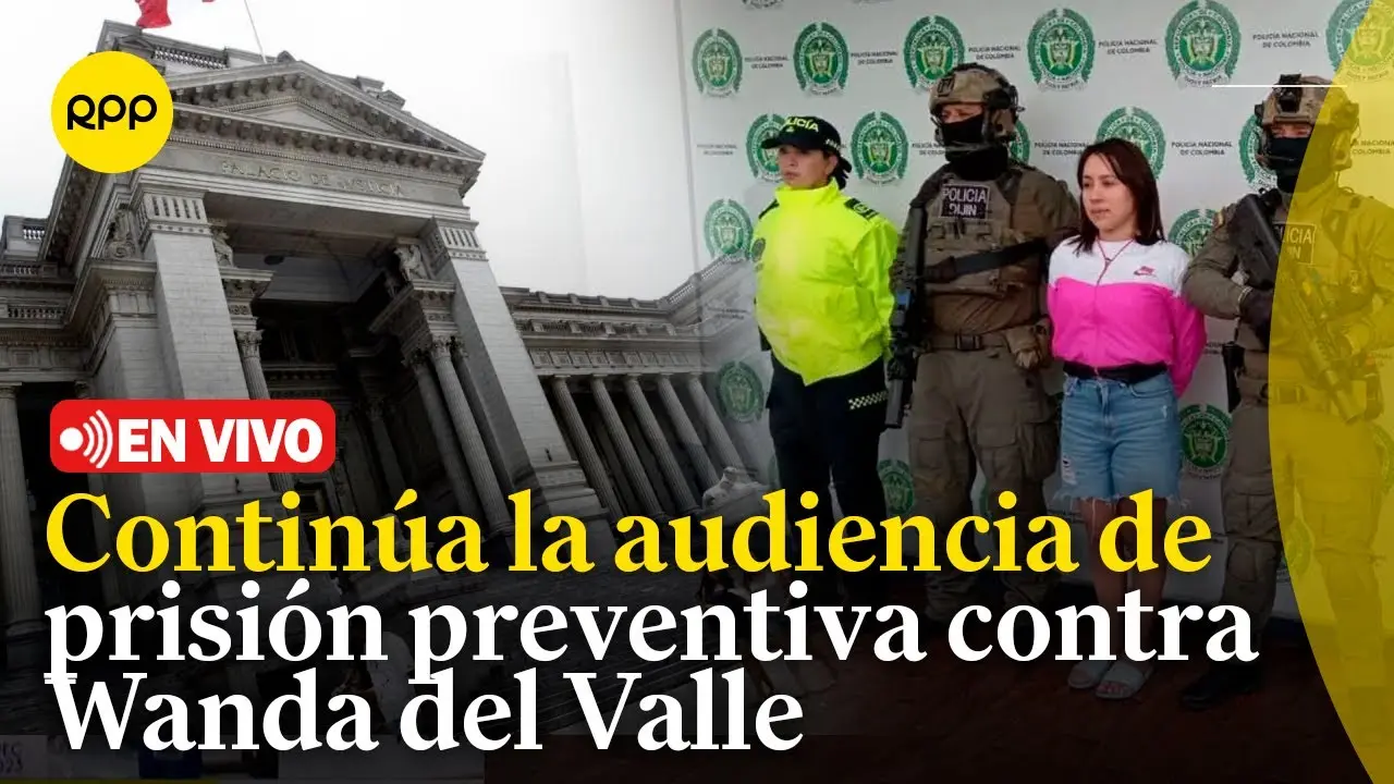 audiencia de prision preventiva en vivo por internet - Cuánto tiempo dura una audiencia virtual