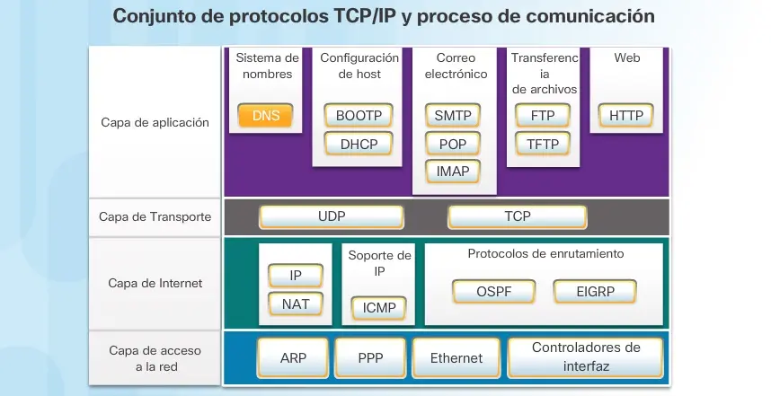 conjunto de protocolos de internet - Cuántos protocolos hay en la capa de Internet