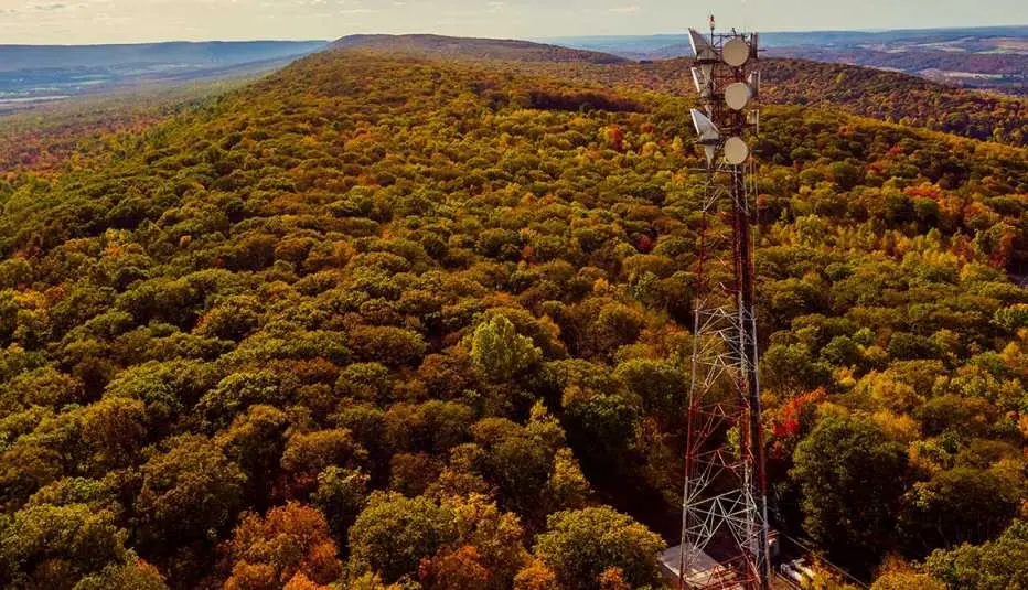 arboles con internet satelital - Pueden los árboles interferir con Internet