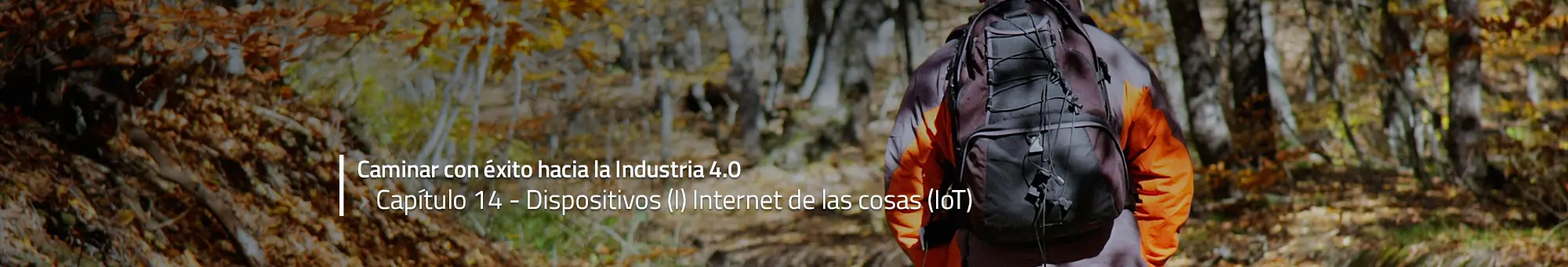 internet de las cosas ejemplos - Qué aparatos funcionan con el Internet de las cosas