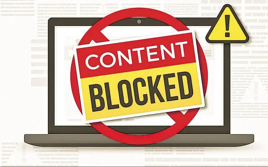 amparo para bloquear informacion de delitos de internet - Qué es el hábeas data Art 43