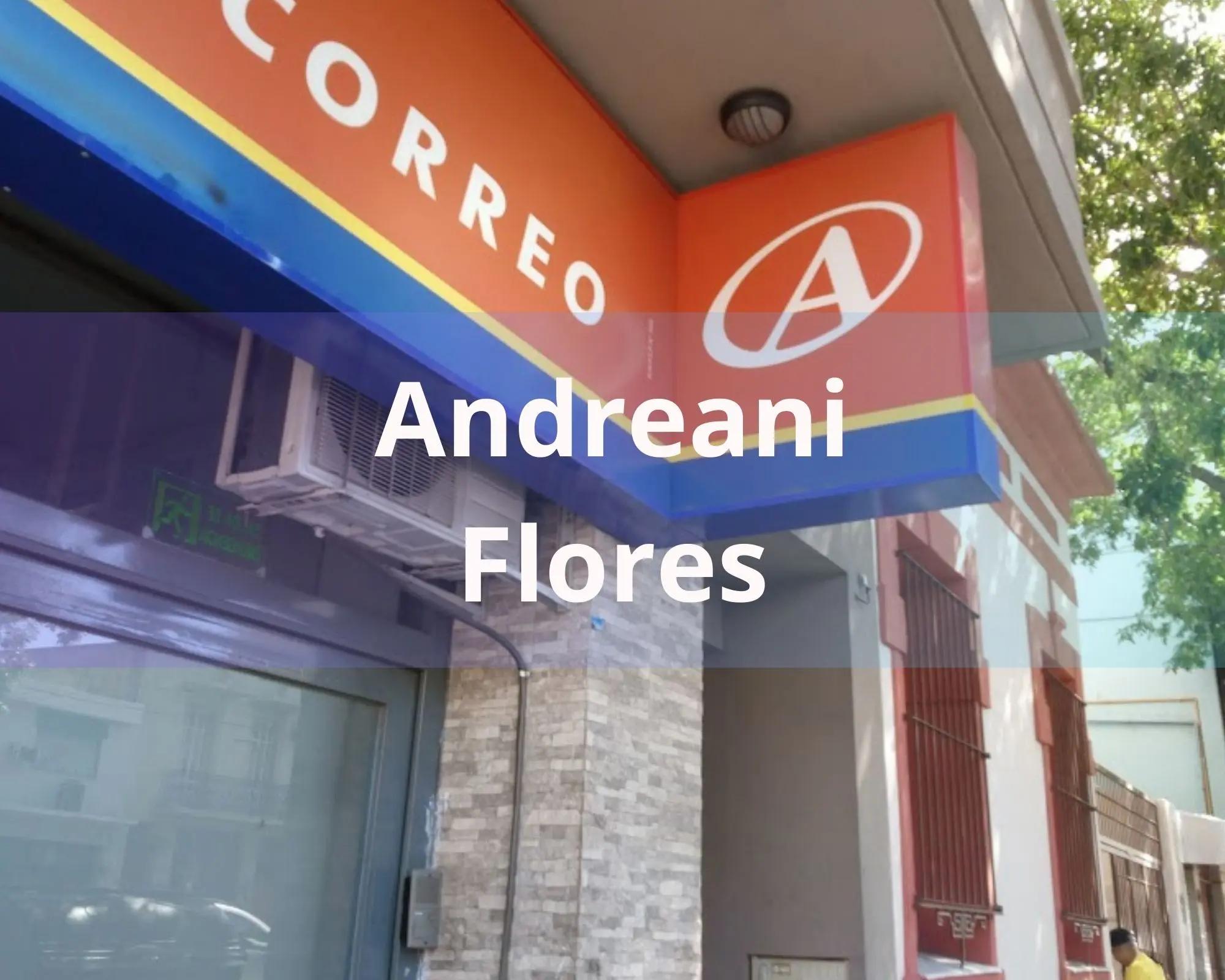 Andreani: Lo que debes aprender sobre sus servicios de correo y telefonía - Qué pasa si no estoy cuando llega Andreani andreani correo telefoni - Qué pasa si no estoy cuando llega Andreani