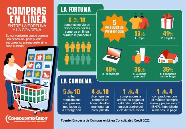 encuesta de compras por internet - Que preguntar cuando van de compras