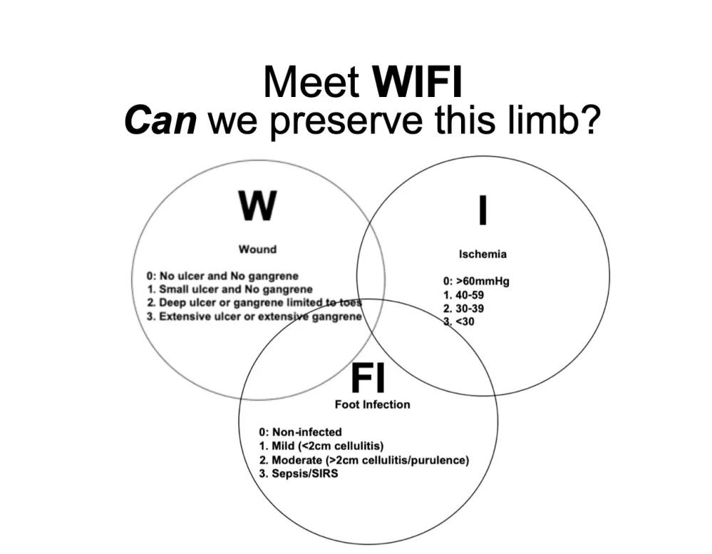 wifi score - Qué significa wifi en el cuidado de heridas