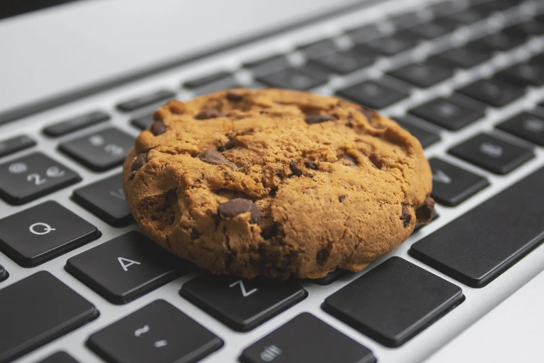 que son las cookies de internet - Qué son las cookies y para qué sirven