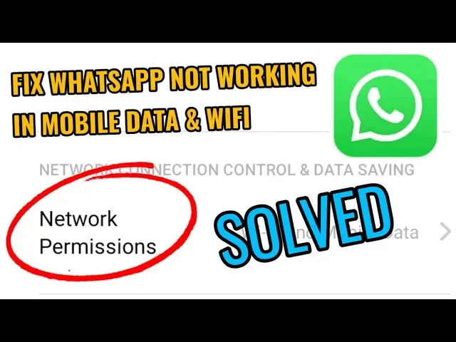 ¿Por qué WhatsApp no funciona con Wi-Fi? Información completa de solución de problemas - Why are my WhatsApp messages not delivering even though I have Wi-Fi whatsapp not working on wifi - Why are my WhatsApp messages not delivering even though I have Wi-Fi